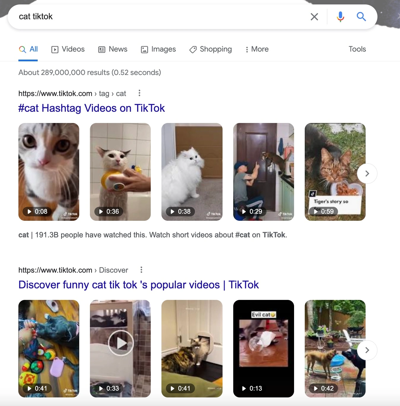 TikTok in Google Search